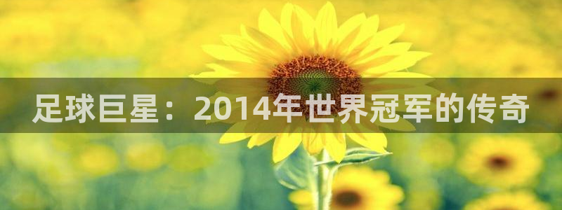世界杯女足直播:足球巨星:2014年世界冠军的传奇