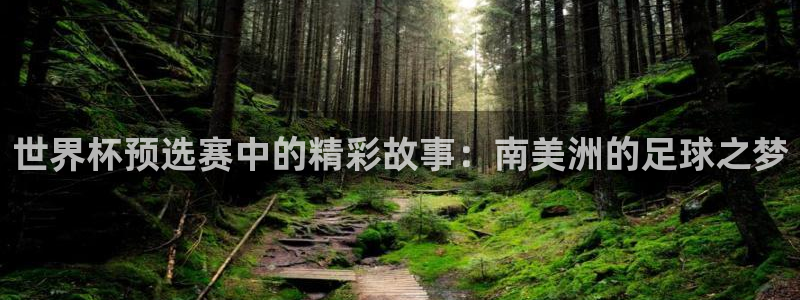 2026世界杯直播:世界杯预选赛中的精彩故事:南美洲的足球之梦