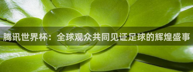 世界杯预选赛欧洲:腾讯世界杯:全球观众共同见证足球的辉煌盛事