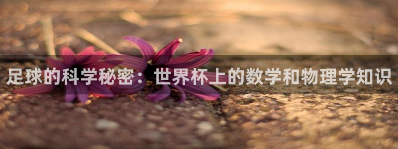 足球世预赛:足球的科学秘密:世界杯上的数学和物理学知识